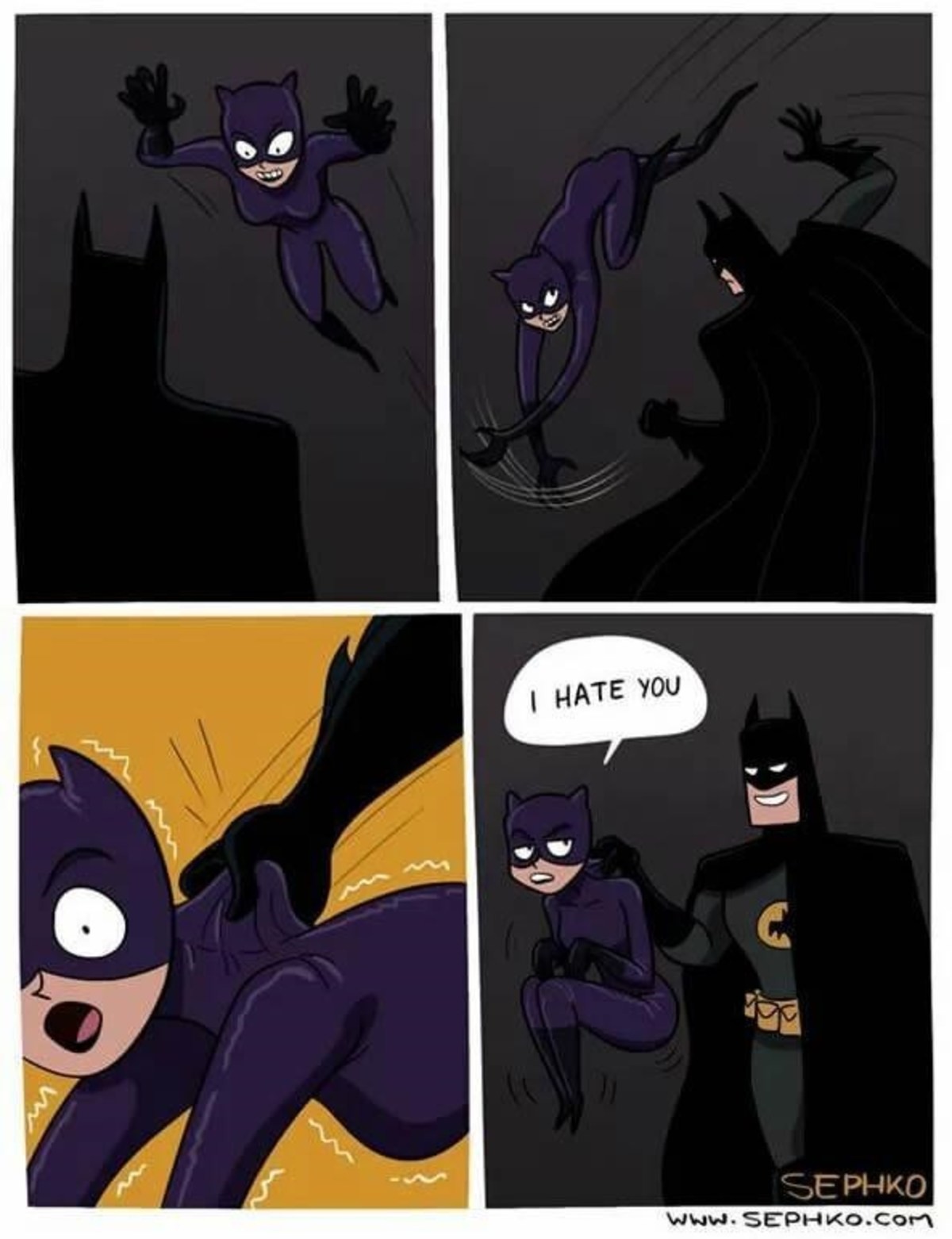 Bat v cat.jpg